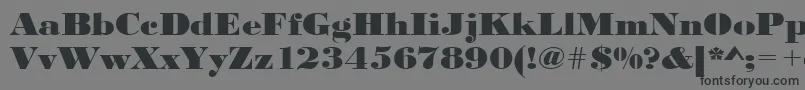 Urwbodonidextbolextwid Font – Black Fonts on Gray Background
