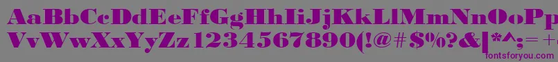 Urwbodonidextbolextwid Font – Purple Fonts on Gray Background