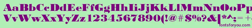 Urwbodonidextbolextwid Font – Purple Fonts on Green Background