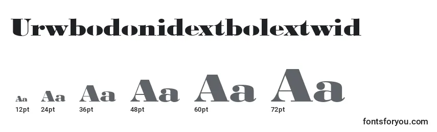 Размеры шрифта Urwbodonidextbolextwid