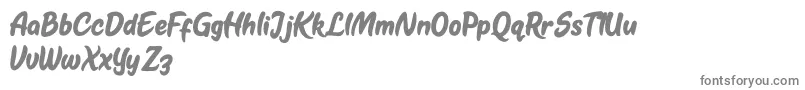 Kestoy Selfie Font – Gray Fonts on White Background