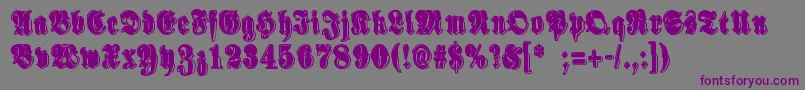 SinisenharmaaPerkele Font – Purple Fonts on Gray Background