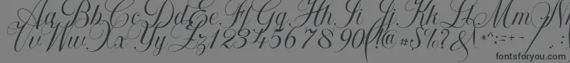 fuente Khatija Calligraphy – Fuentes Negras Sobre Fondo Gris