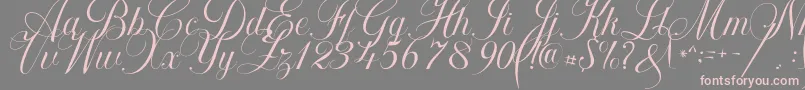 フォントKhatija Calligraphy – 灰色の背景にピンクのフォント