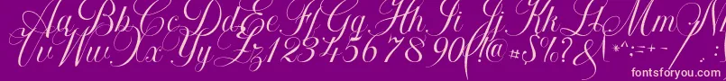 Khatija Calligraphy Font – Pink Fonts on Purple Background
