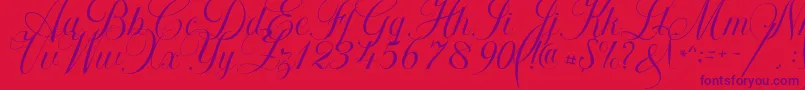 Khatija Calligraphy Font – Purple Fonts on Red Background