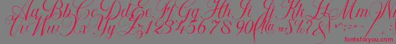 Khatija Calligraphy Font – Red Fonts on Gray Background