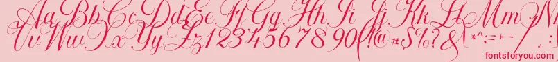 Khatija Calligraphy Font – Red Fonts on Pink Background