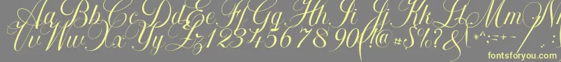 Khatija Calligraphy Font – Yellow Fonts on Gray Background