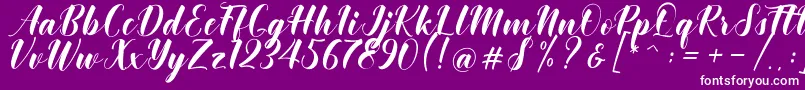 Khinta Script Font – White Fonts on Purple Background