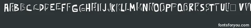 kickassbob erc 2008 Font – White Fonts on Black Background