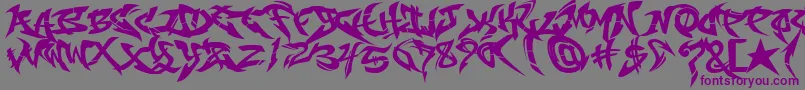 Шрифт RaseoneFill – фиолетовые шрифты на сером фоне
