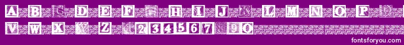 フォントKidsBlocks – 紫の背景に白い文字