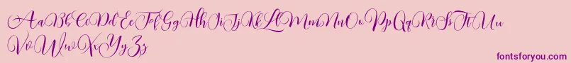 Kimberly DEMO-Schriftart – Violette Schriften auf rosa Hintergrund