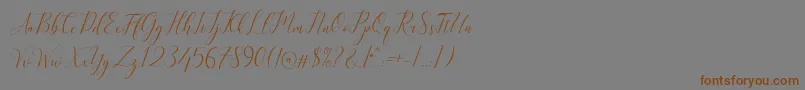 Kimberly Font – Brown Fonts on Gray Background