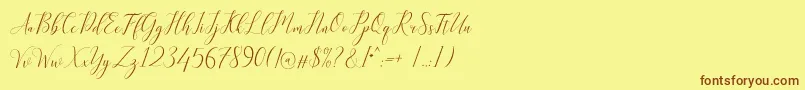 Kimberly Font – Brown Fonts on Yellow Background