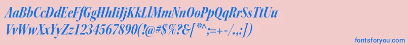 フォントKeplerstdBoldcnitdisp – ピンクの背景に青い文字