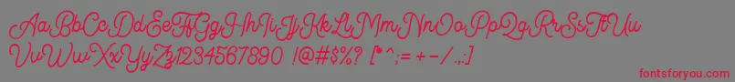 Kingbirds DEMO Font – Red Fonts on Gray Background