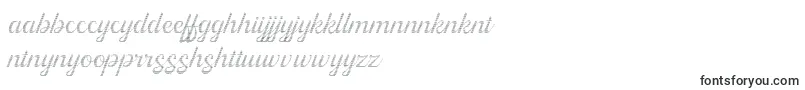 Kingfisher Full Engraved Font – Kinyarwanda Fonts