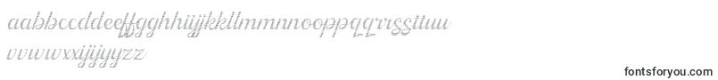 Шрифт Kingfisher Full Engraved – нидерландские шрифты