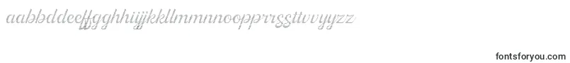 フォントKingfisher Full Engraved – マダガスカルの文字