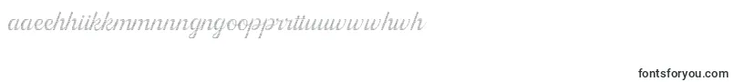 Шрифт Kingfisher Full Engraved – маори шрифты