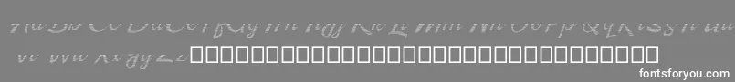 Kingfisher Half Engraved Font – White Fonts on Gray Background