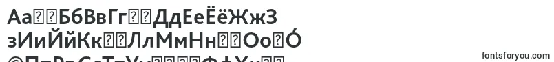 BlissproBold Font – Turkmen Fonts