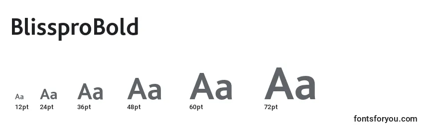 BlissproBold Font Sizes