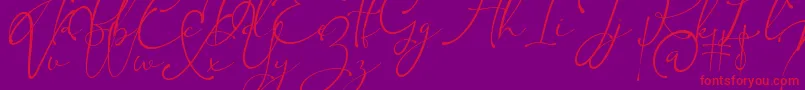 Kingsley Font – Red Fonts on Purple Background