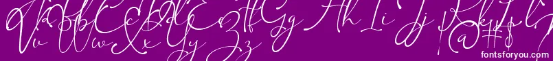 Kingsley Font – White Fonts on Purple Background