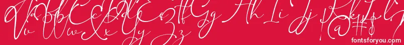 Kingsley Font – White Fonts on Red Background