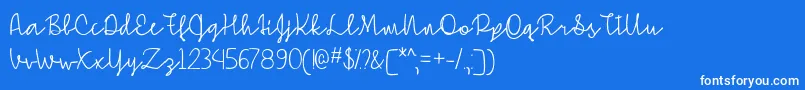 SimpleSignatureOtf Font – White Fonts on Blue Background