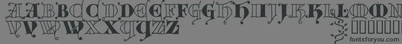Kingthings Versalis-Schriftart – Schwarze Schriften auf grauem Hintergrund