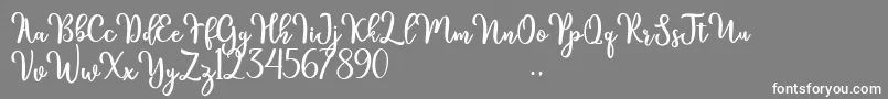 kinsley Font – White Fonts on Gray Background