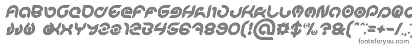 Czcionka KIOSHIMA Bold Italic – szare czcionki