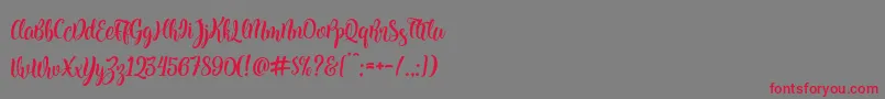 Kite Script Font – Red Fonts on Gray Background
