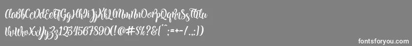 Kite Script Font – White Fonts on Gray Background