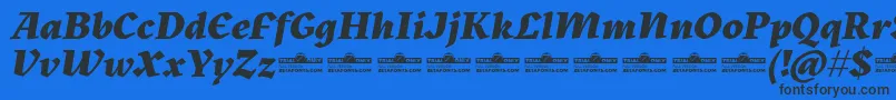 Kitsch Extrabold Italic trial Font – Black Fonts on Blue Background