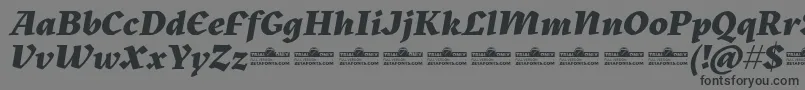 Шрифт Kitsch Extrabold Italic trial – чёрные шрифты на сером фоне
