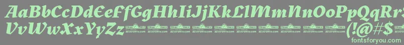 Saiba mais sobre a fonte Kitsch Extrabold Italic trial Fonte Kitsch Extrabold Italic trial – fontes verdes em um fundo cinza
