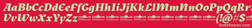 Kitsch Extrabold Italic trial Font – Green Fonts on Red Background