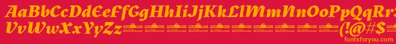 Czcionka Kitsch Extrabold Italic trial – pomarańczowe czcionki na czerwonym tle
