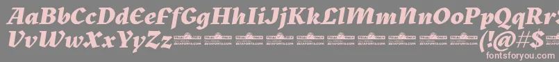 Kitsch Extrabold Italic trial-Schriftart – Rosa Schriften auf grauem Hintergrund