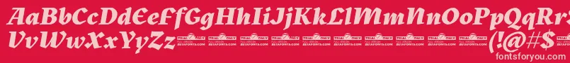 Kitsch Extrabold Italic trial Font – Pink Fonts on Red Background