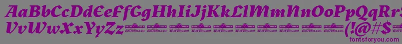 Kitsch Extrabold Italic trial Font – Purple Fonts on Gray Background