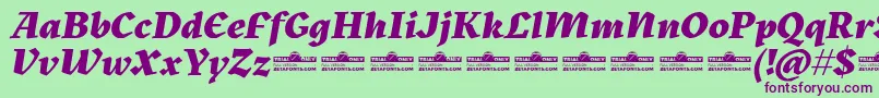 Kitsch Extrabold Italic trial Font – Purple Fonts on Green Background