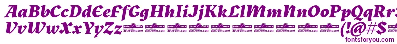 Czcionka Kitsch Extrabold Italic trial – fioletowe czcionki na białym tle