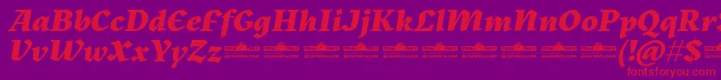 Kitsch Extrabold Italic trial-Schriftart – Rote Schriften auf violettem Hintergrund