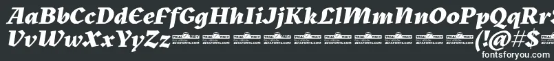 Czcionka Kitsch Extrabold Italic trial – białe czcionki